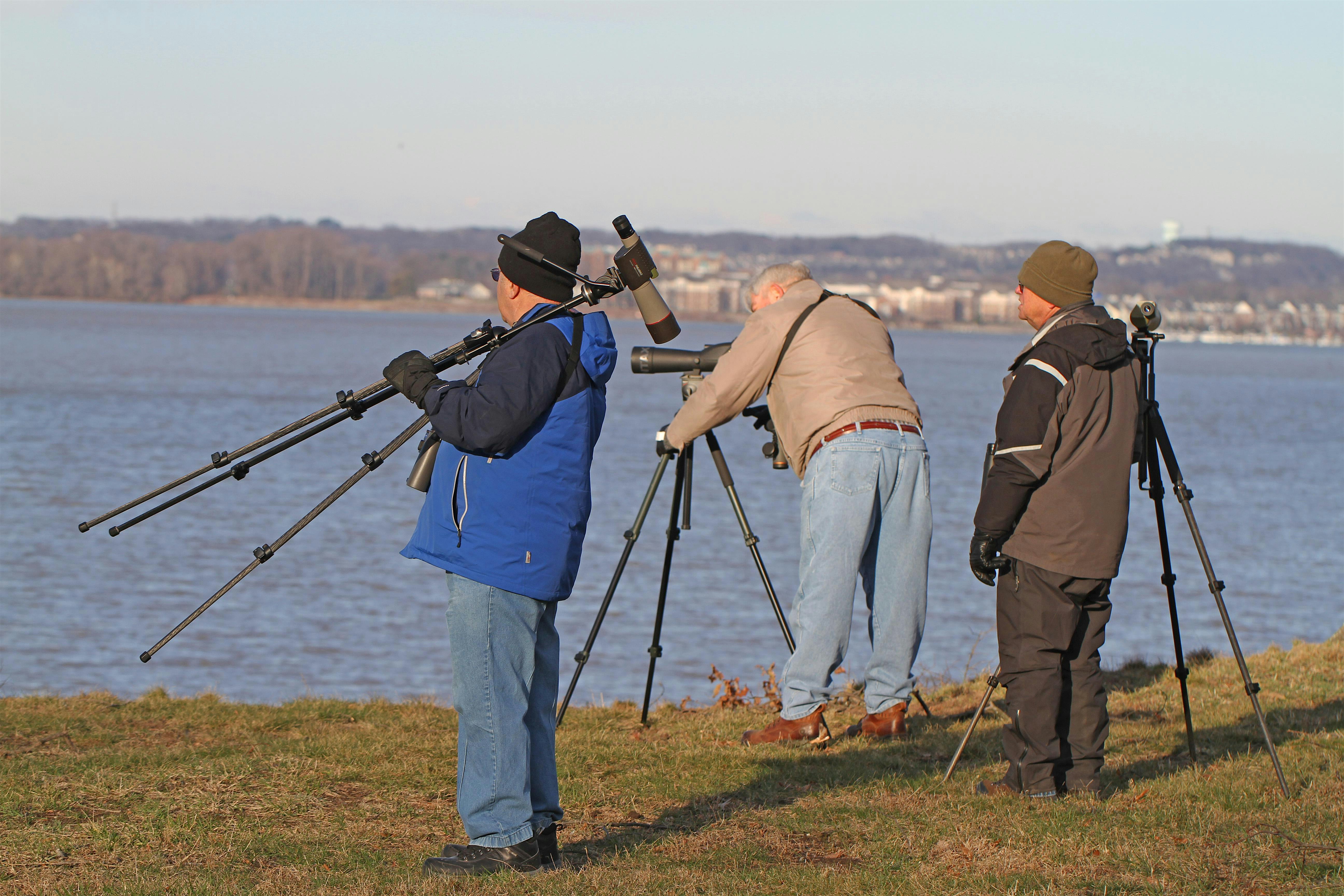 Birding Through the Lens: Fall Migration Field Workshop