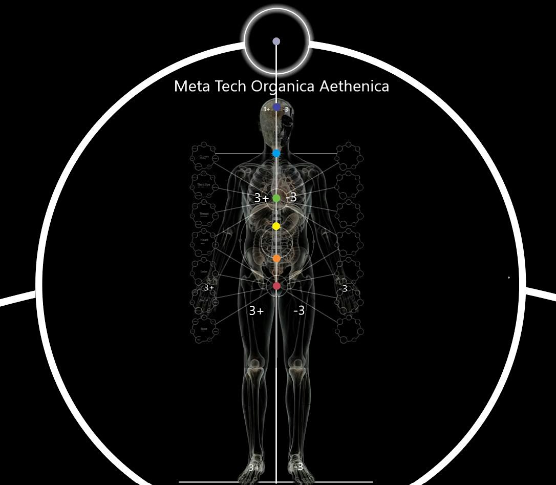 Meta Tech Organica  - The Quadrivium