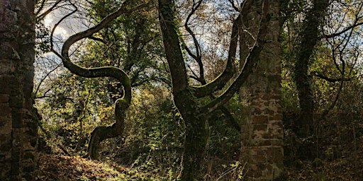 The Ghost Town of Antica Monterano