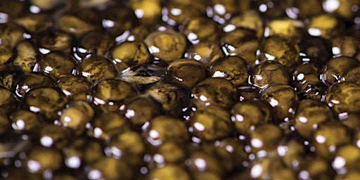 SIMON JOHNSON & Moncur Cellars: Champagne & Caviar Tasting Event