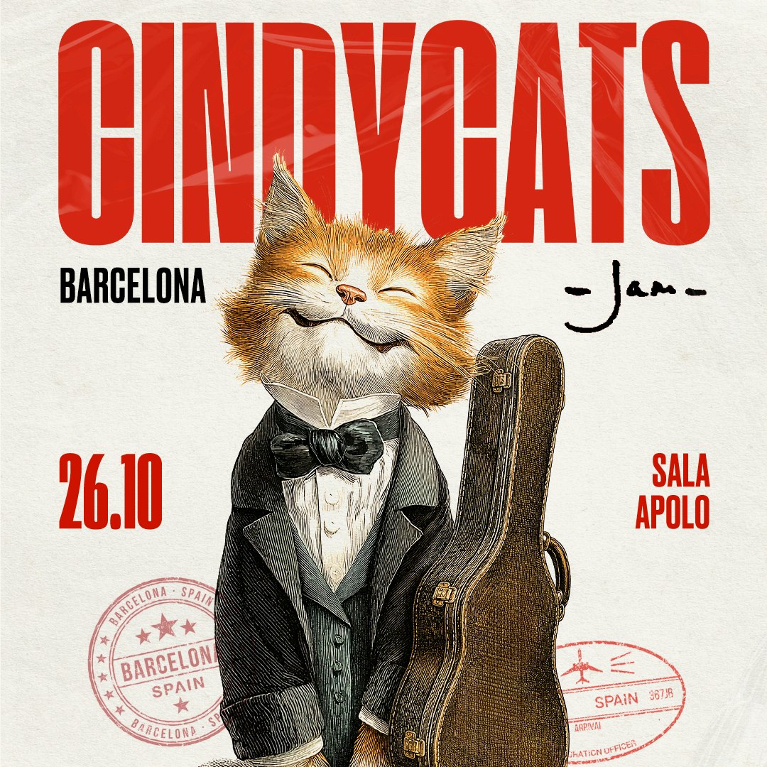 Cindy Cats