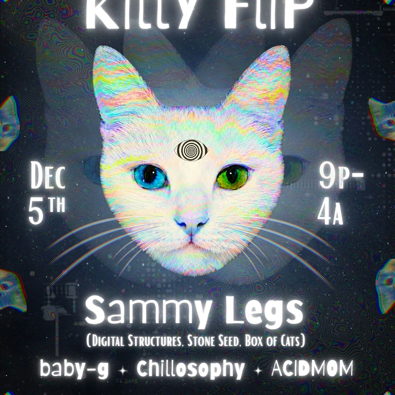 Liminal Collective: Kitty Flip