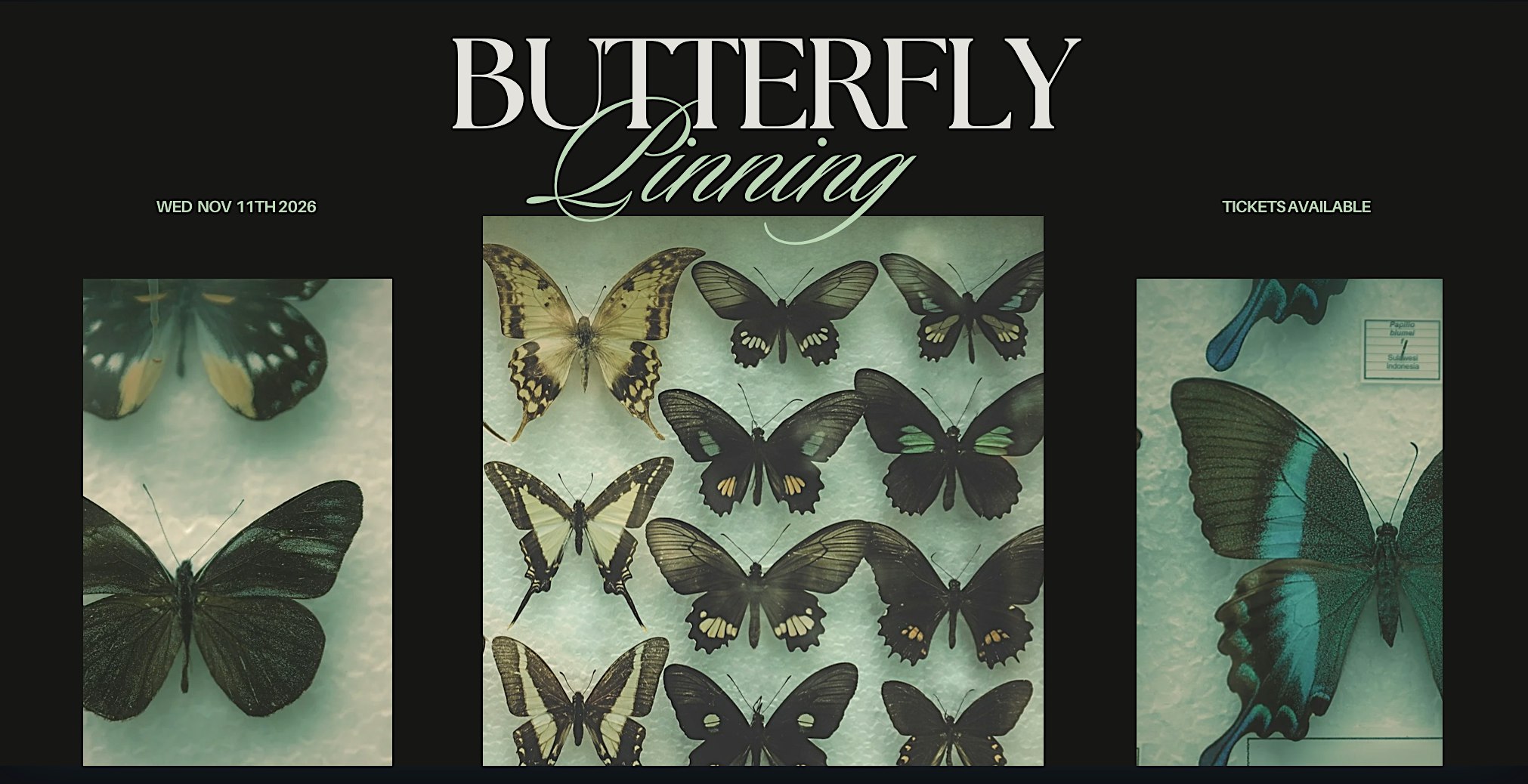 Butterfly Pinning Workshop