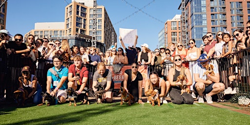 Wiener 500 at The Wharf - Dog Registration 2026