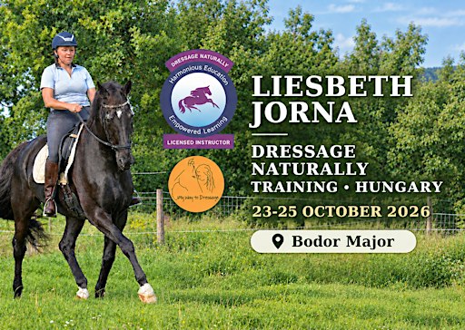 DAY 2 - Liesbeth Jorna - Dressage Naturally Workshop for Gallery Students