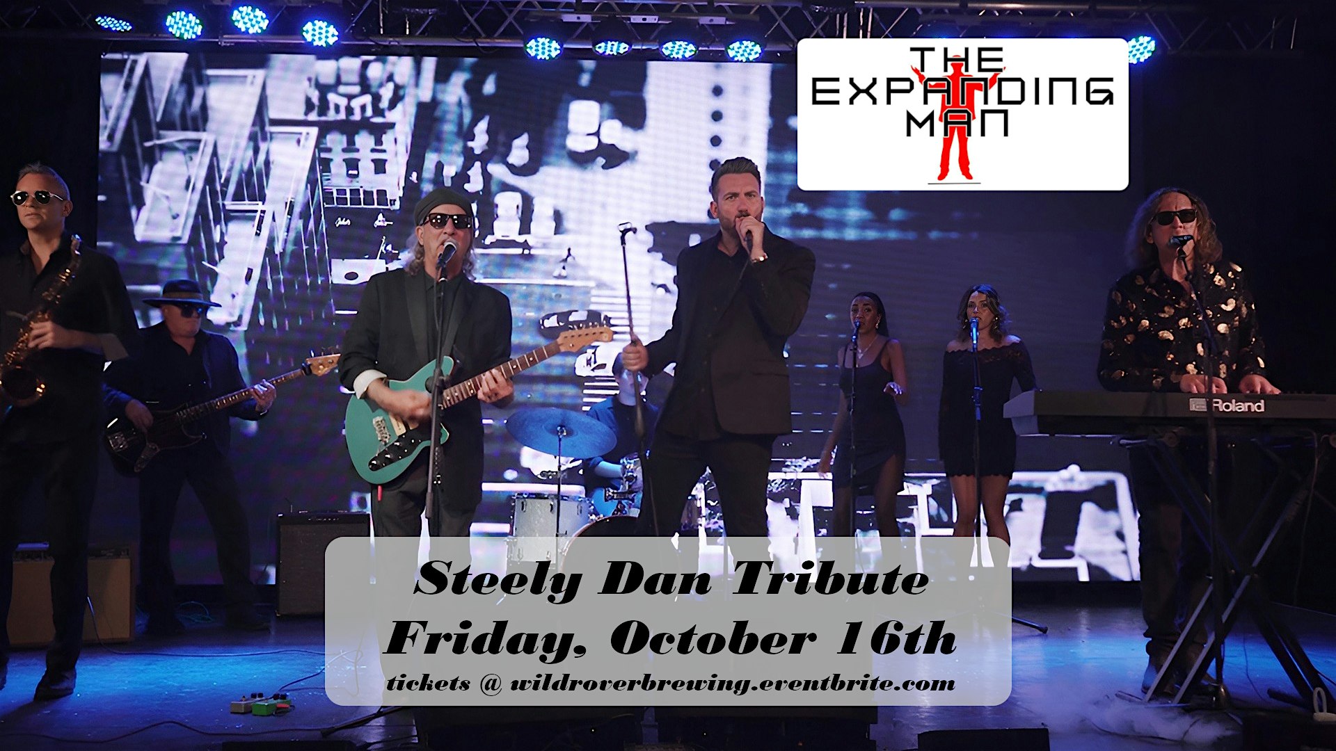 The Expanding Man - Steely Dan Tribute