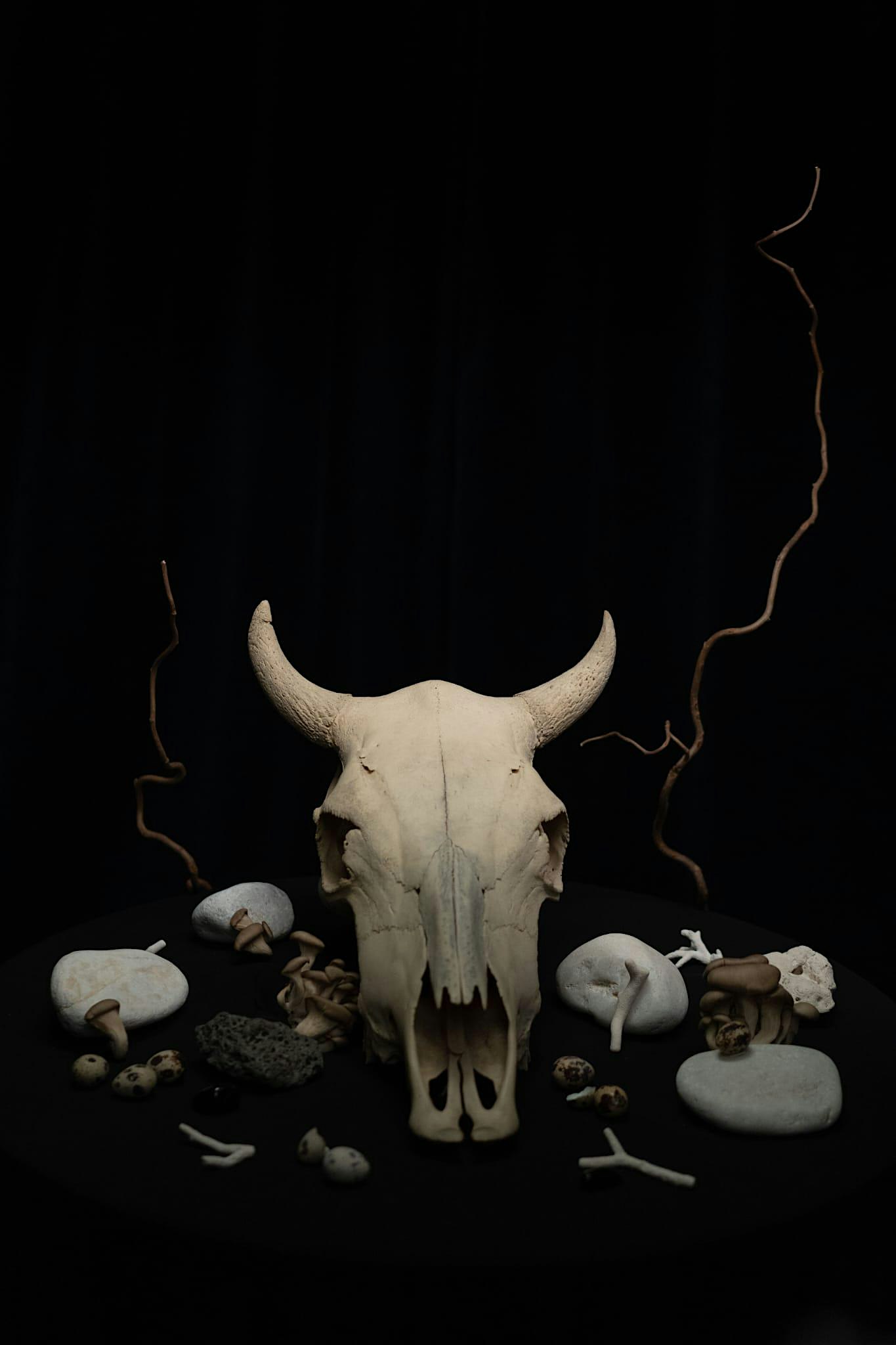 Burn The Midnight Oil Live + support