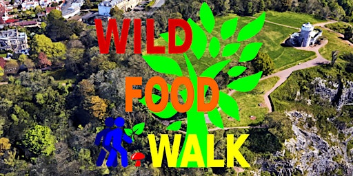 September Avon Gorge (Bristol) Wild Food Foraging/ Forager Walk.