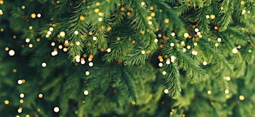 Workshop in Wien: Christbaum-Workshop
