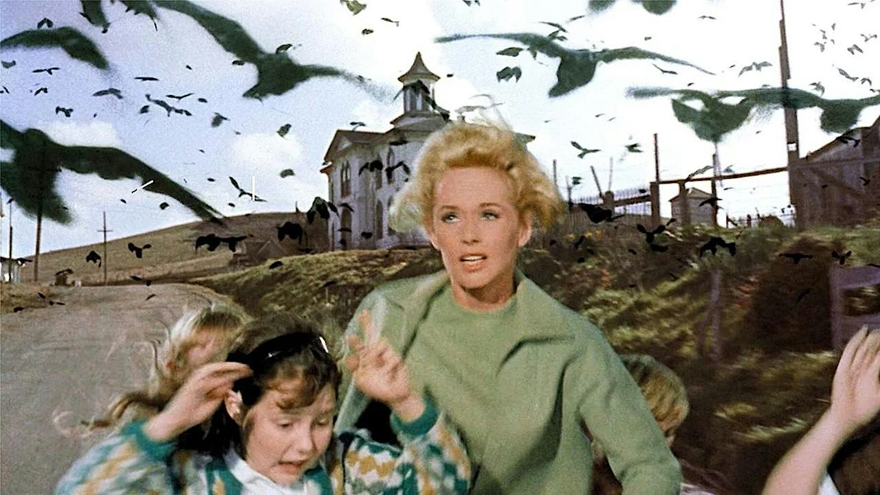 Los pájaros