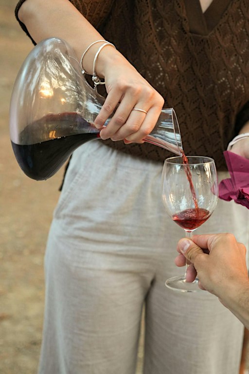 Viaje por los vinos Argentinos