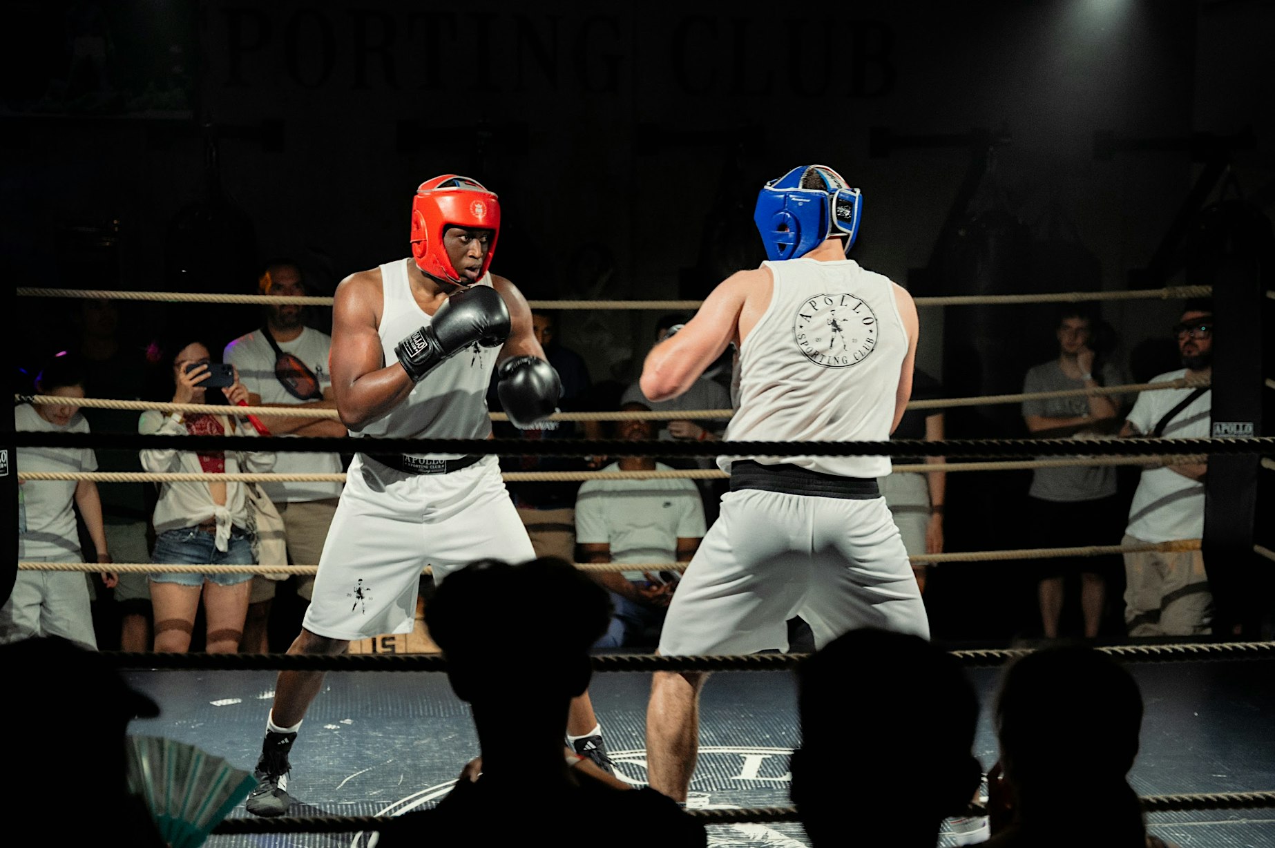 APOLLO BOXING NIGHT #1