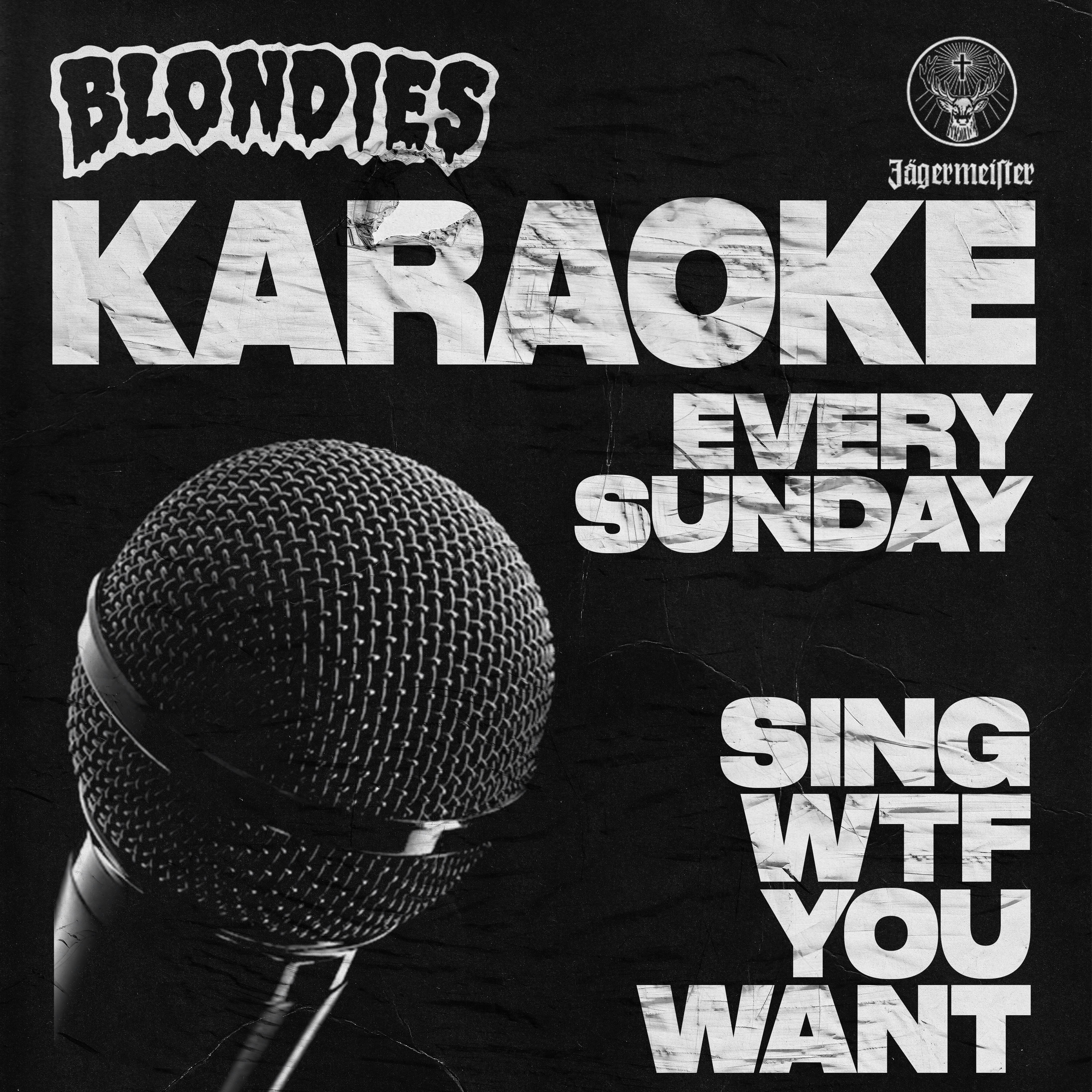 LIVE 'N' LOUD / Free Karaoke Sundays - SING WTF YOU WANT