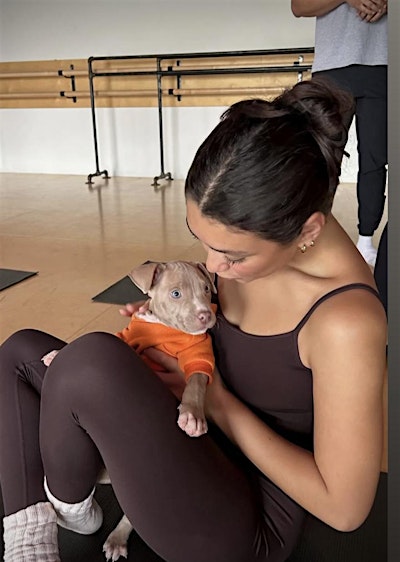 PUPPY YOGA DETROIT