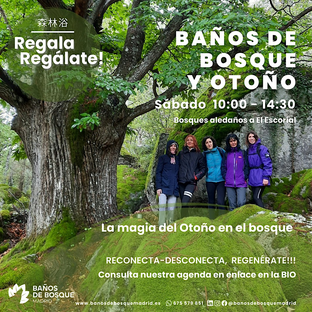 Baño de Bosque y Otoño sab 17 oct El Escorial