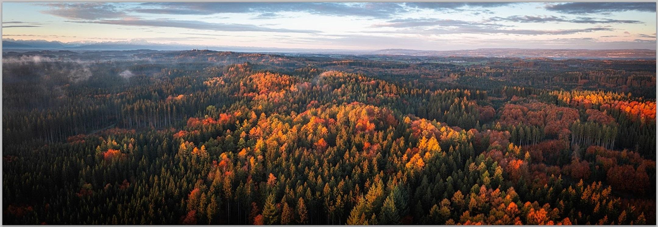 Auf dem Rücken zu Fuß - der Waldburgrücken
