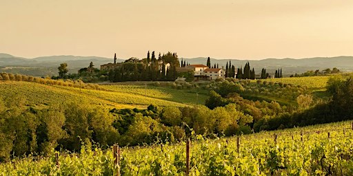 Uncorked: Tour of Barolo