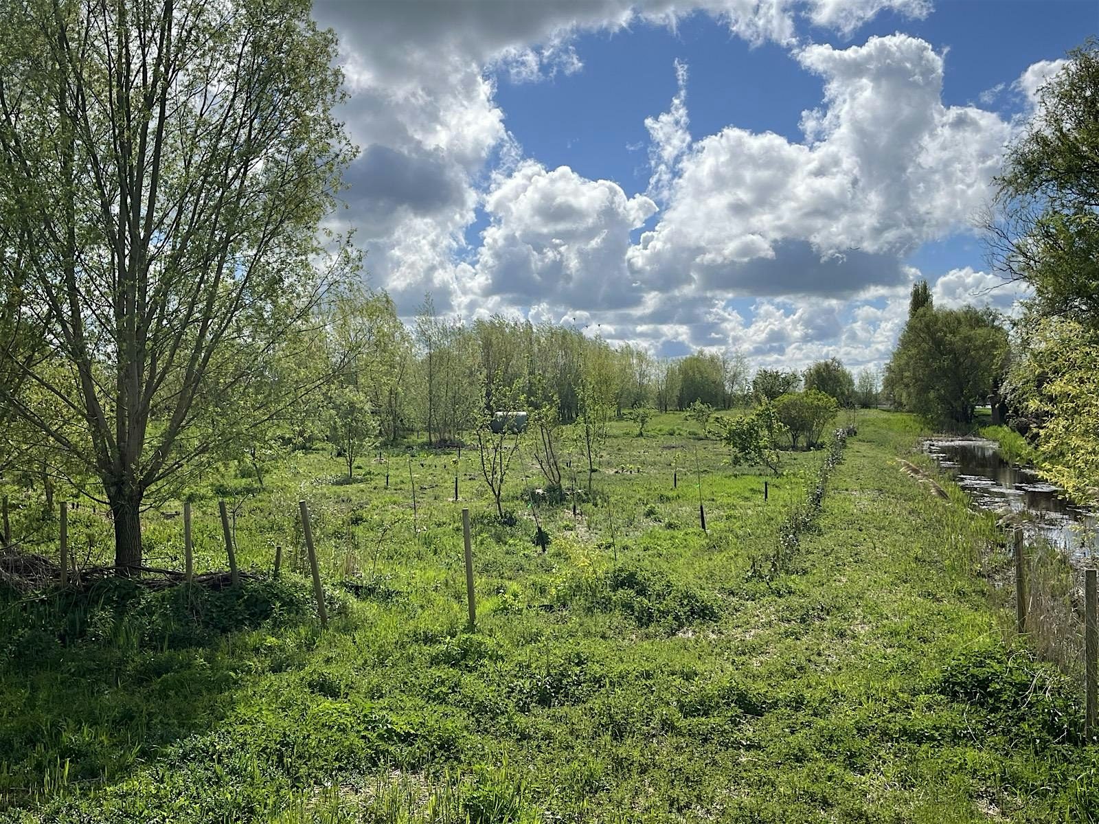 Van Vogelparadijs De Groene Jonker naar Voedselbos Bloeiende Landen