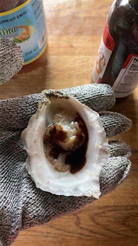Shucking 101 Presented By iKami
