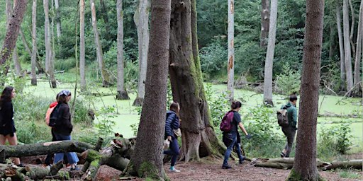 Fairytale Forest: Hike through the Mystical Landscape of Briesetal
