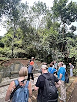 Nature in City - Bukit Brown Cemetery