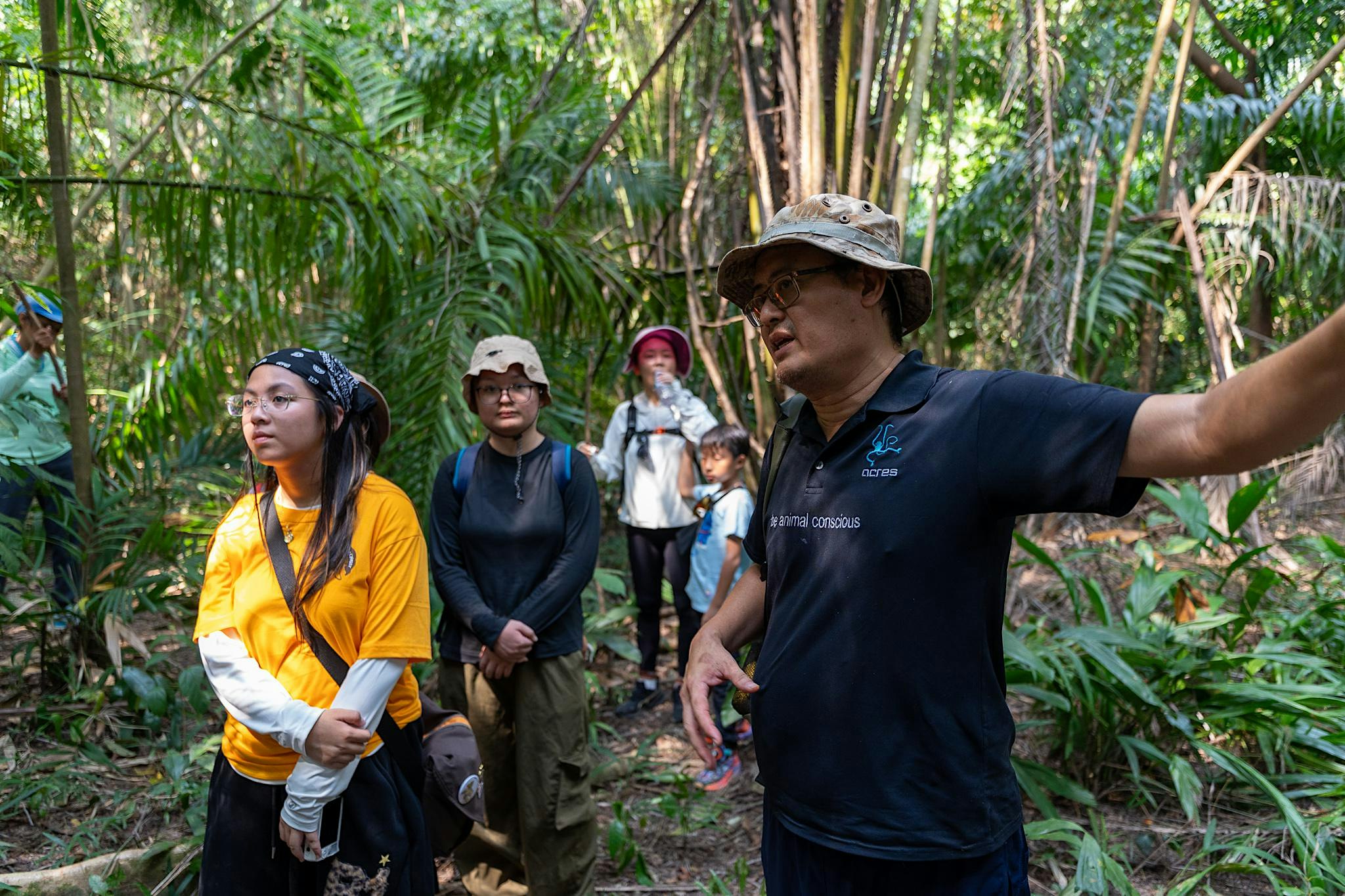 Nature in the City - Maju Forest