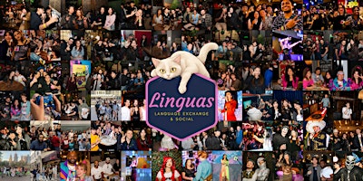 Linguas Melbourne Language Exchange & Social at The Asian Beer Cafe