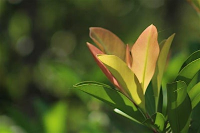 Composition in the Field - Photography Workshop