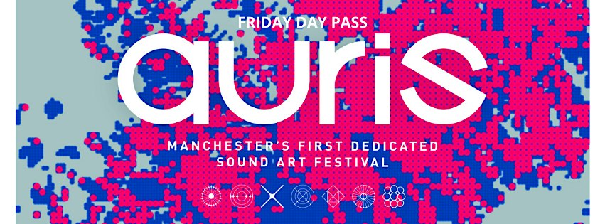 Auris Festival: Friday Day Pass