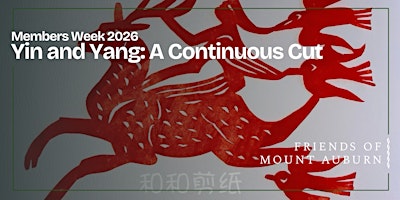 Members Week 2026: Yin and Yang: A Continuous Cut