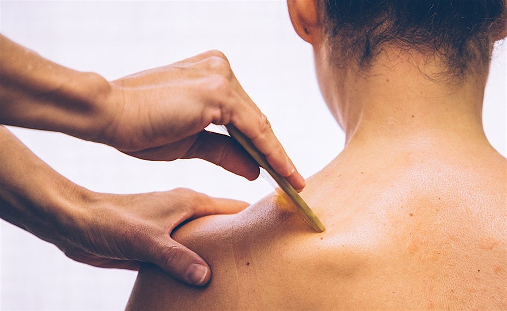 TCM Wellness Workshop :  Gua Sha and acupuncture for chronic pain.