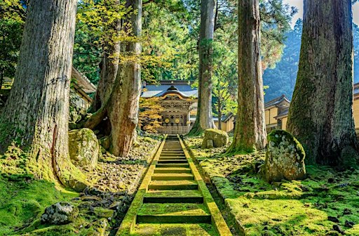 Ritiro di Zazen con il Rev. Carmine Shinkō De Rosario, monaco zen sōtō.