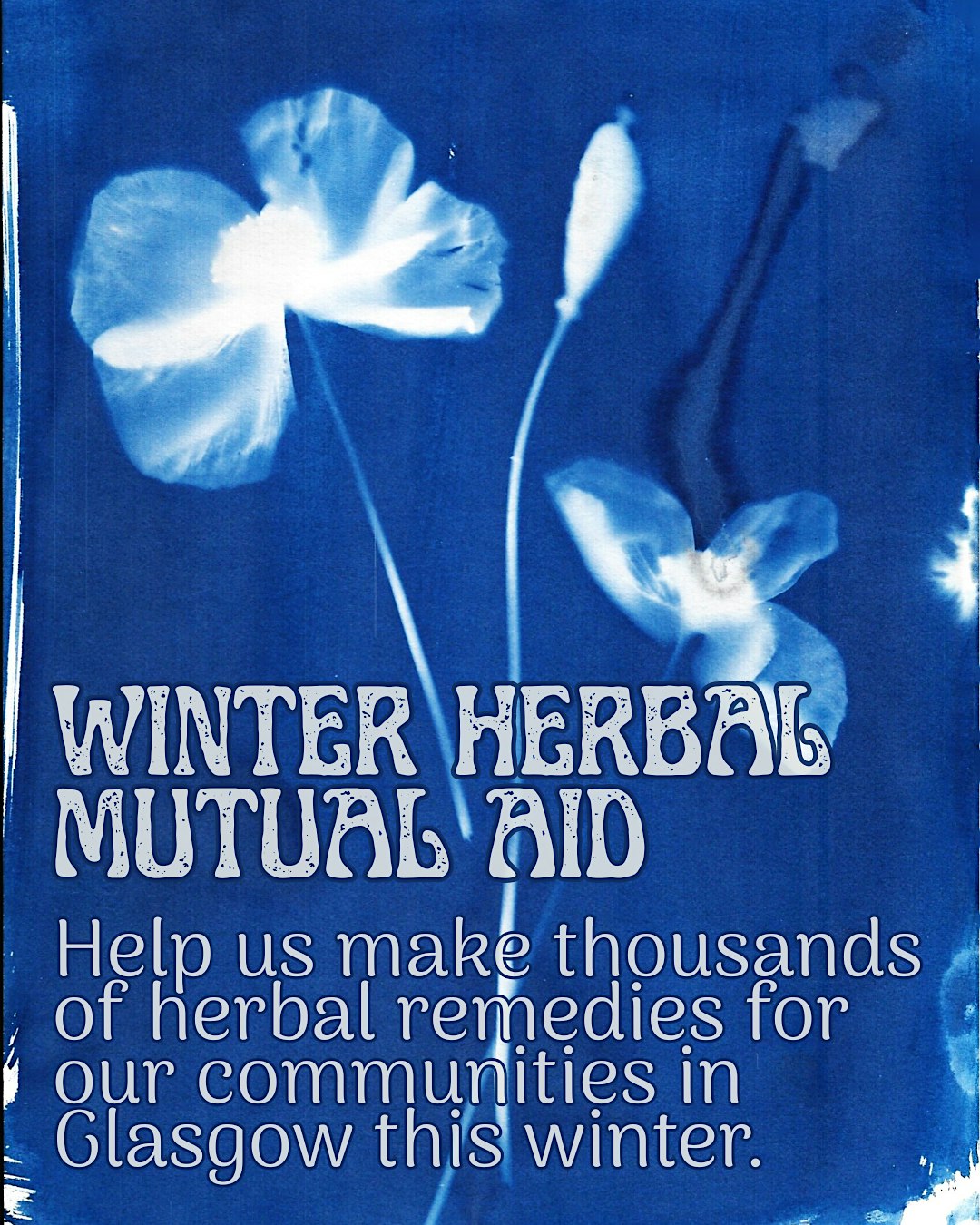 Herbal Solidarity Collective- Winter Herbal Mutual Air Medicine Making
