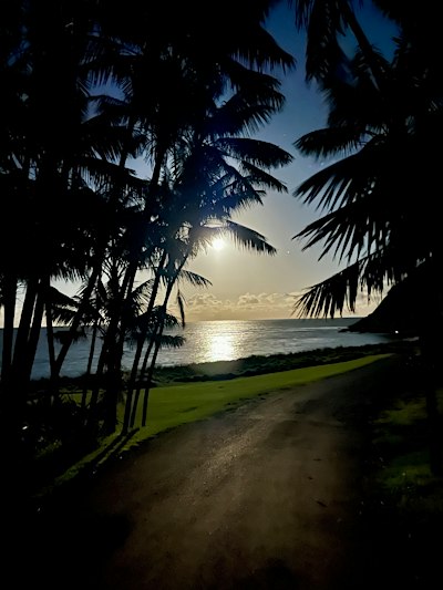 Full Moon Meditation + Sound Healing