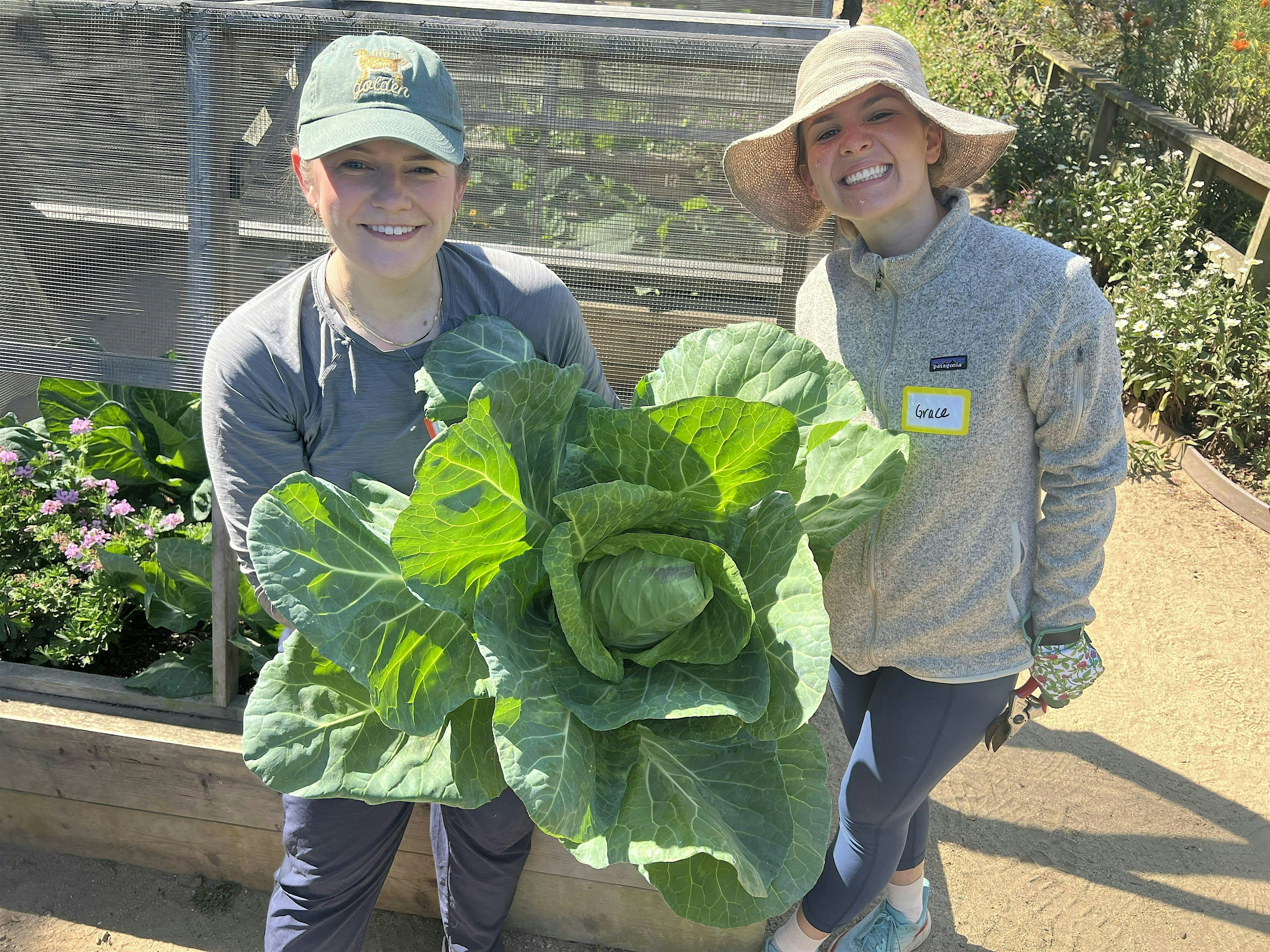 Grow Your Own Food Workshops 2026