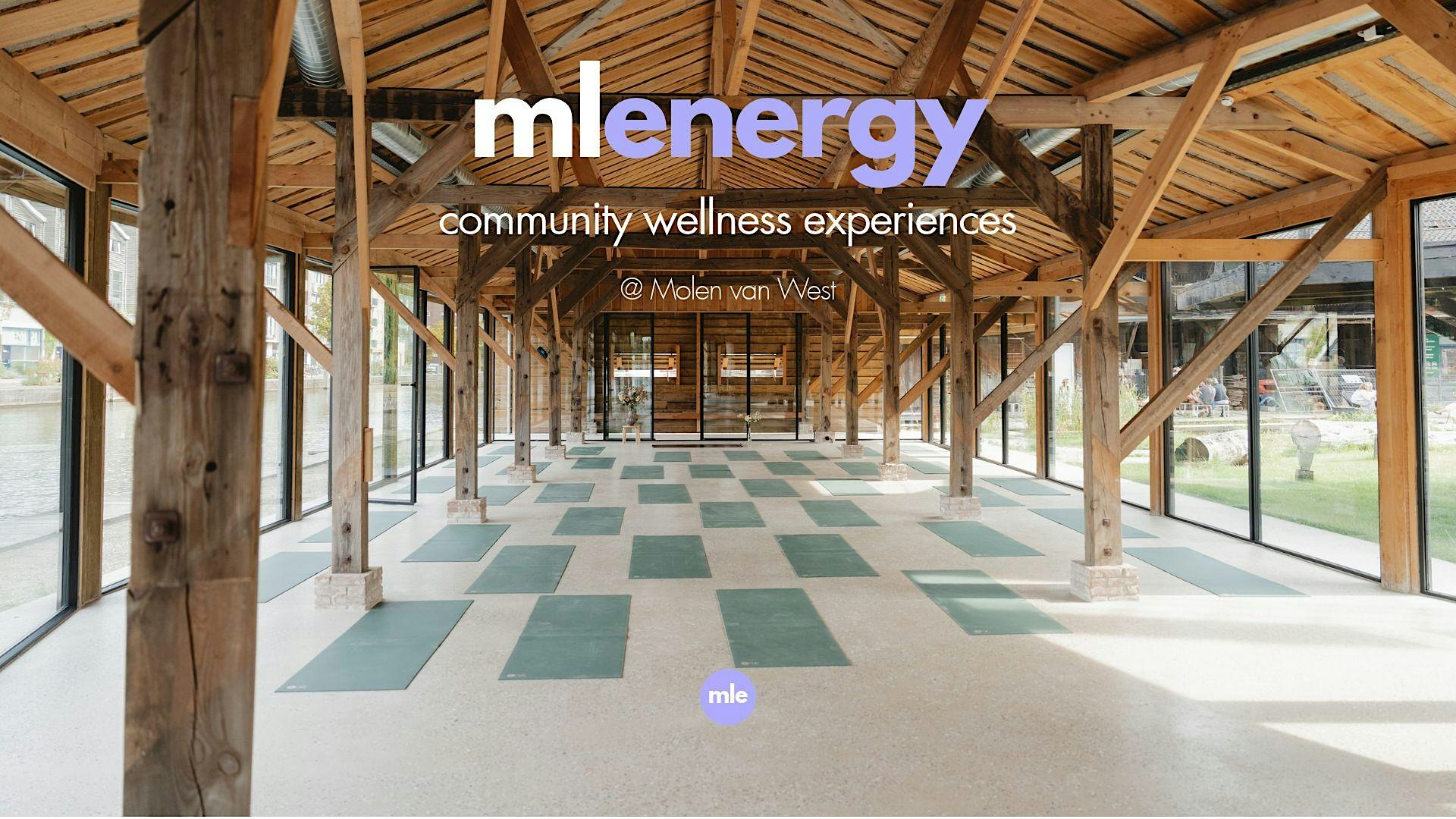 mlenergy by mle