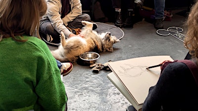 Dog Life Drawing at The Greenhouse, Bedminster, Bristol - Autumn Season
