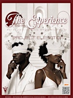 Mkreation experience 2026