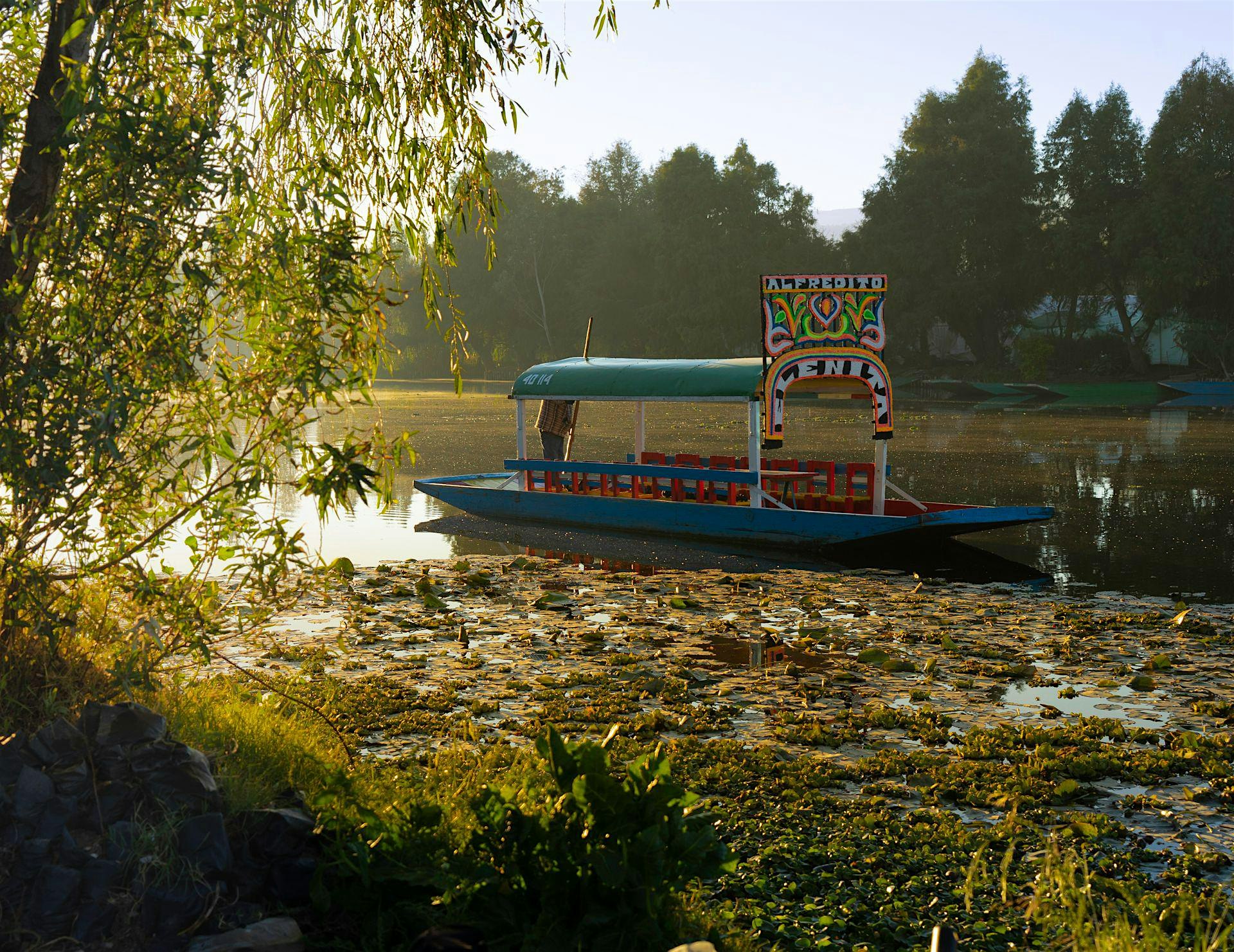 Free Walk&Talk - Xochimilco