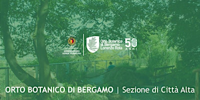 PIANTE DEGLI AMBIENTI UMIDI