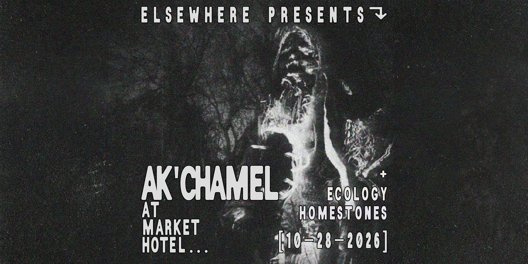 Elsewhere Presents: Ak’chamel @ Market Hotel (w/ Ecology Homestones)