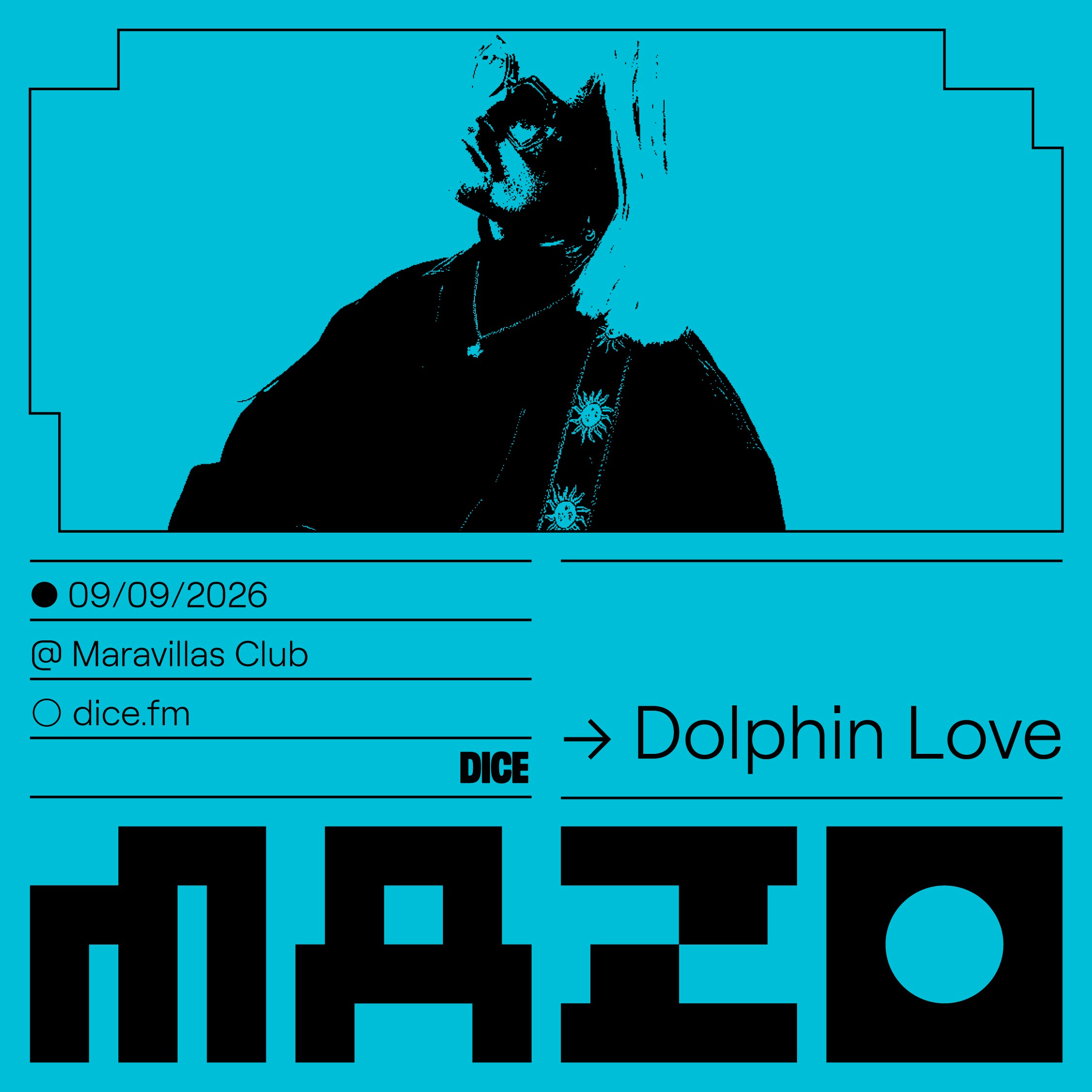 Dolphin Love en MAZO