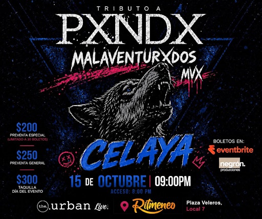Malaventurxdos presenta "Tributo a Panda" | Concierto | Celaya