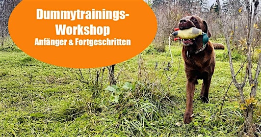 Gruppentraining Dummyarbeit
