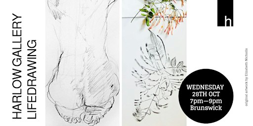 Life Drawing at Harlow Gallery