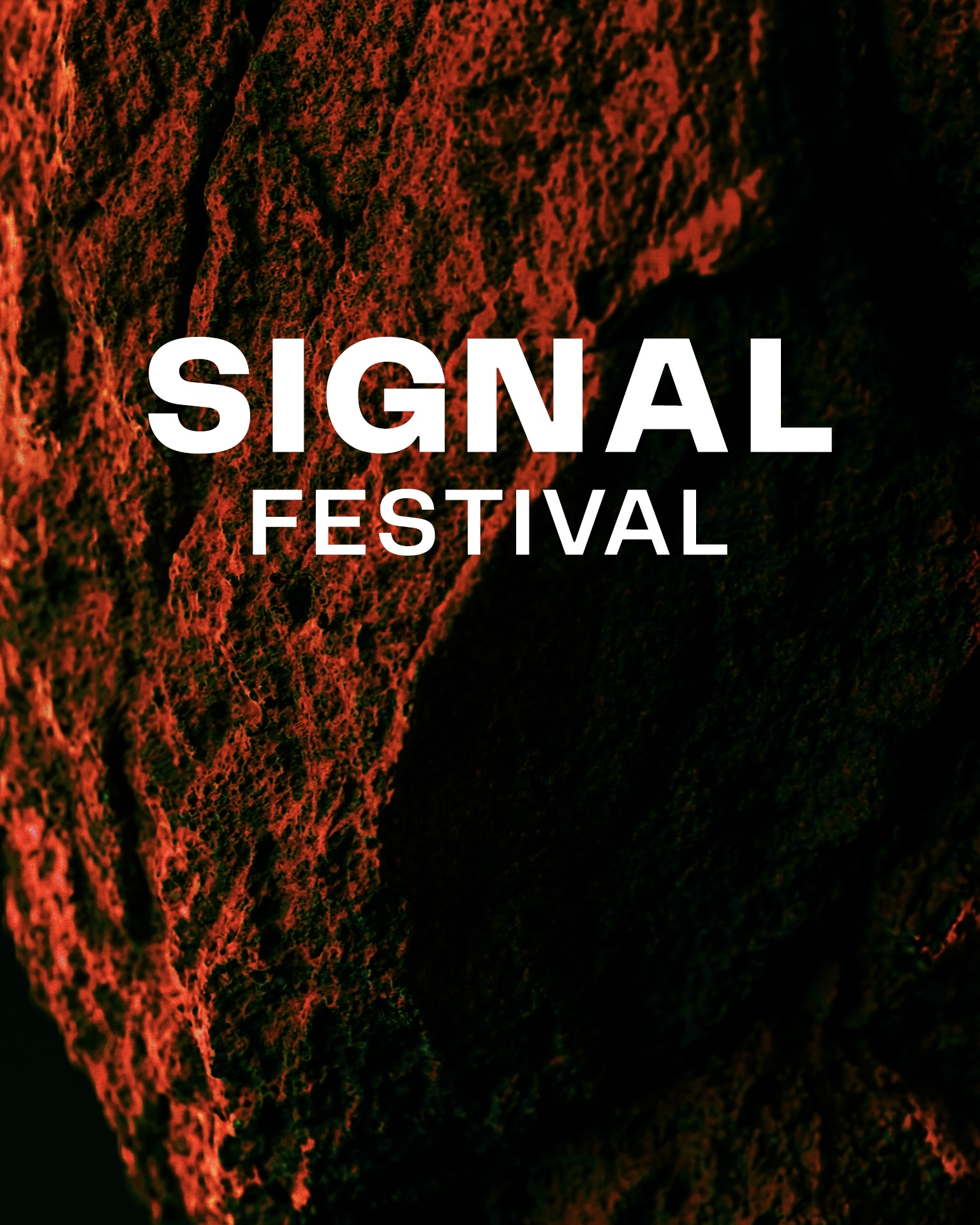 VLCT x SIGNAL w/ FUMI, KTK & Vendex