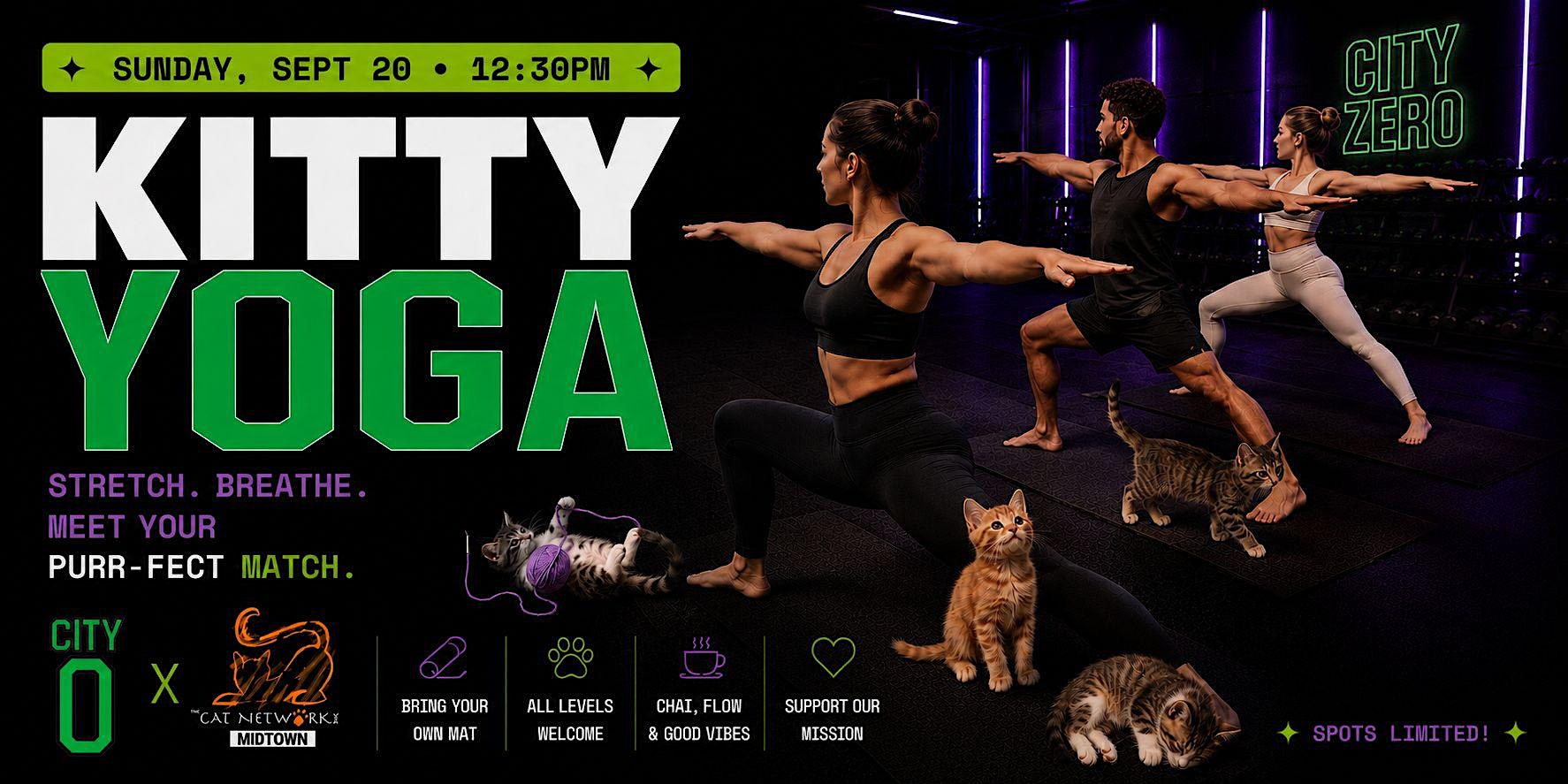 The Cat Connection: Kitty Yoga