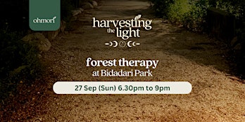 Forest Therapy & Bathing: Harvesting the Light (Sunday 27 September)