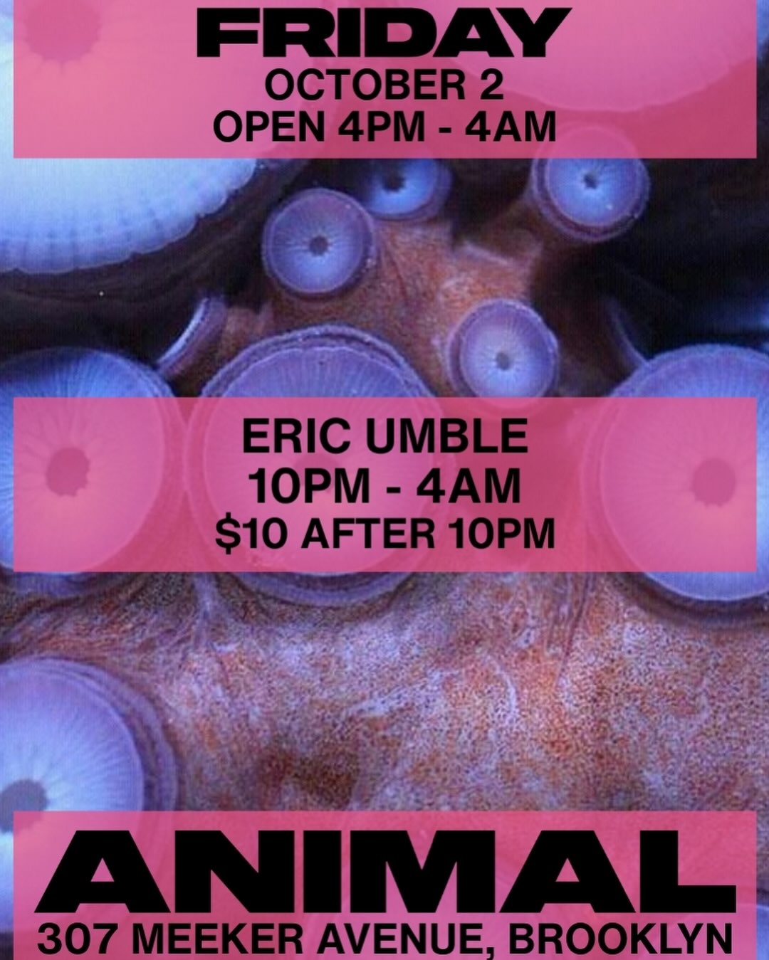 ANIMAL Friday Night w/ Eric Umble