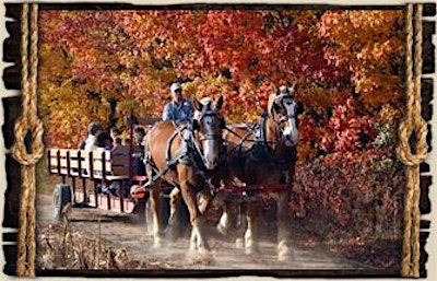Horse drawn Hayride and Bonfire